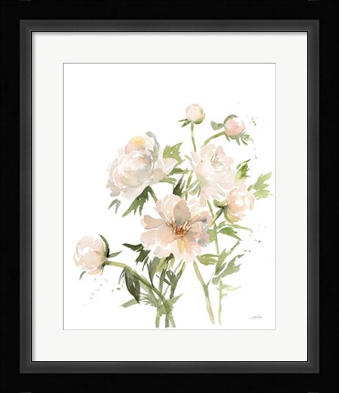 Framed Peonies II Print