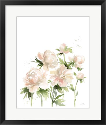 Framed Peonies I Print