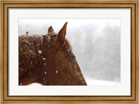 Framed Snowy Caleb Print