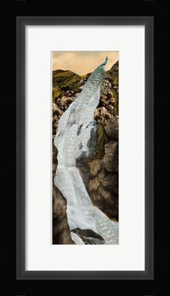 Framed Peacock Falls Print