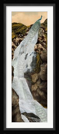 Framed Peacock Falls Print