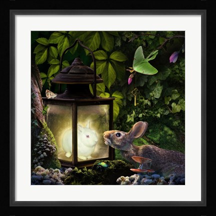 Framed Luminant Print