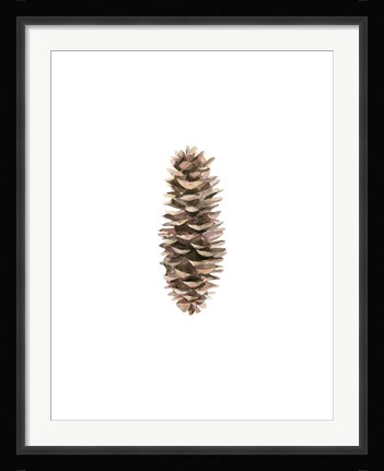 Framed Pine Cone I Print