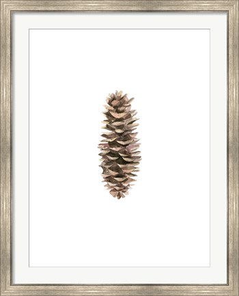 Framed Pine Cone I Print