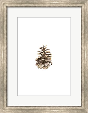 Framed Pine Cone II Print