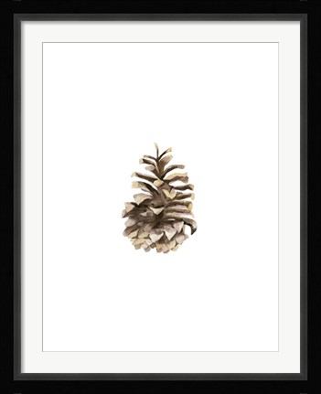 Framed Pine Cone II Print