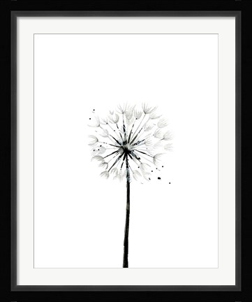 Framed Dandelion Print