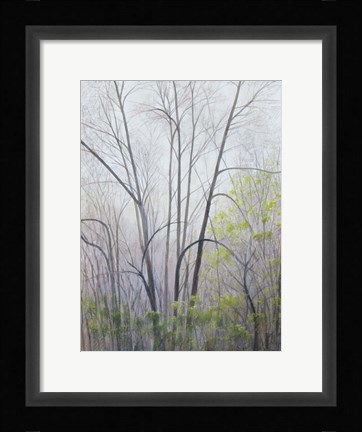 Framed Early Spring Print