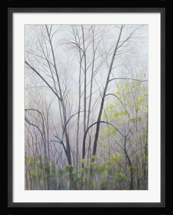 Framed Early Spring Print