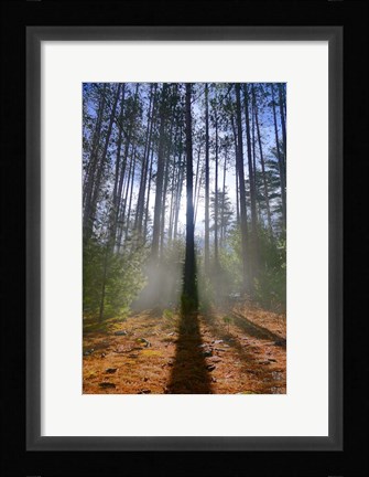 Framed Cooper Lake Vision Print