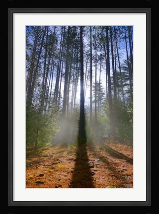 Framed Cooper Lake Vision Print