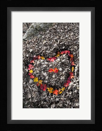 Framed Love in the Leaves Print