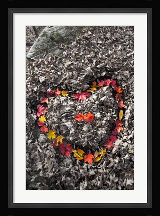 Framed Love in the Leaves Print