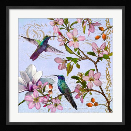 Framed Hummingbird Botanical Print