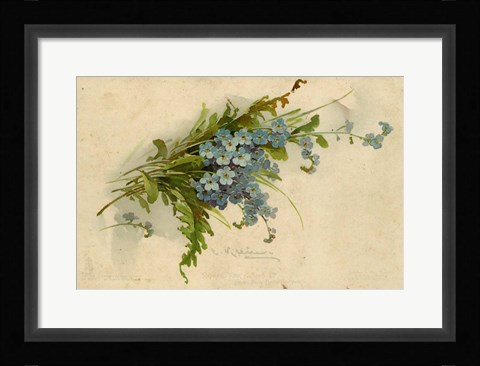 Framed Forget-Me-Not Print