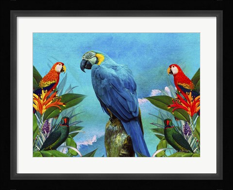 Framed Bird Kingdom 4 Print