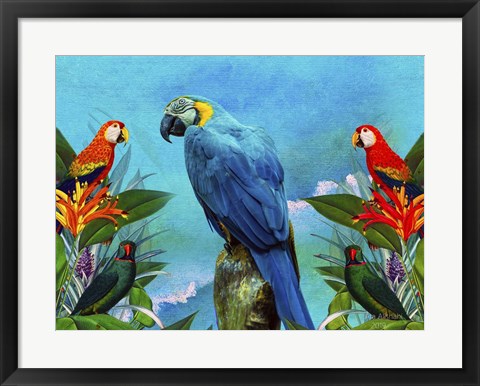 Framed Bird Kingdom 4 Print