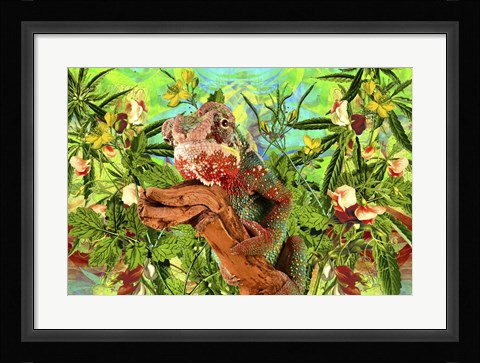 Framed Lizard Print