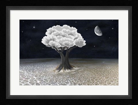 Framed Moon Tree Print