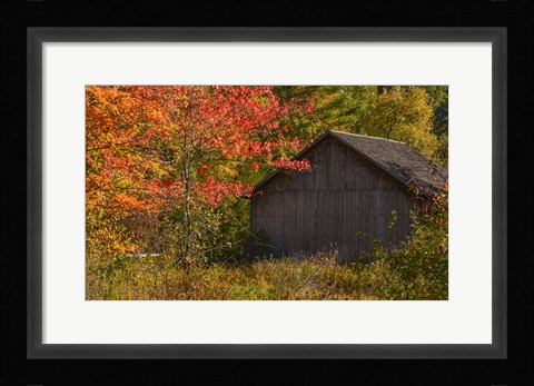 Framed Taste of Vermont Print