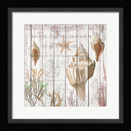 Framed Seashells on Driftwood Panel Print