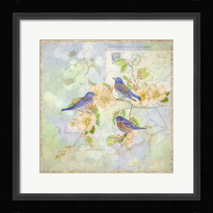Framed Blue Birds on Blossem Branch Print