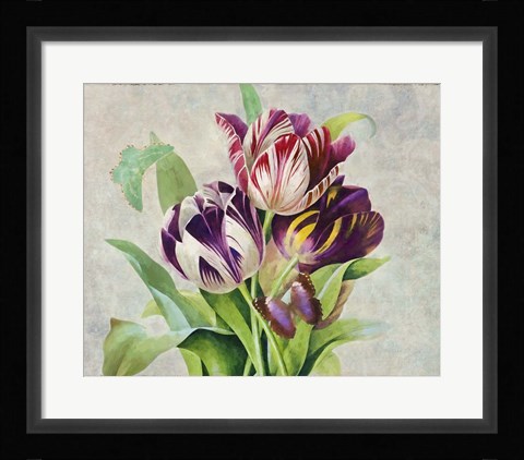 Framed Bouquet Tulips I Print