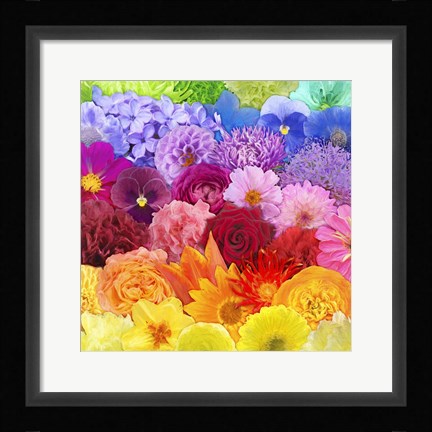 Framed Rainbow Flowers Print