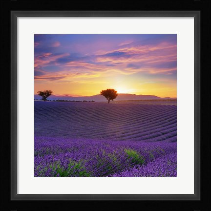 Framed Lavender Sky Sunset Print