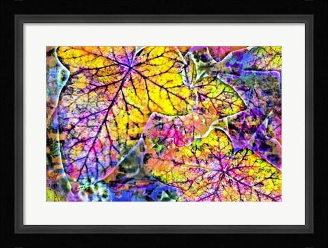 Framed Rainbow Colors 2 Print