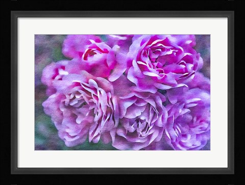 Framed Roses on Canvas 4 Print