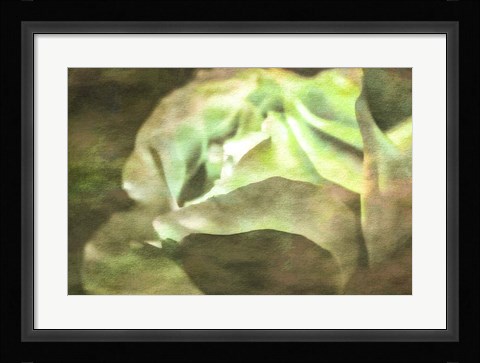 Framed Roses on Canvas 21 Print