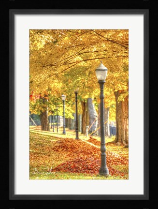 Framed Lamp Post And Leaves Print