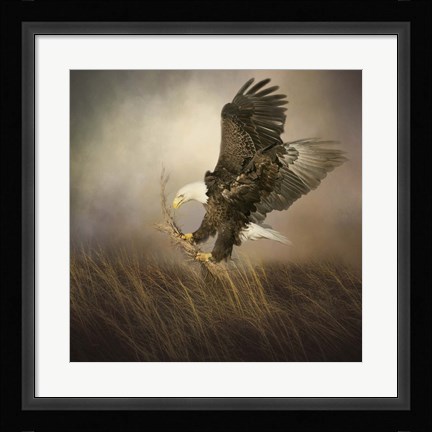 Framed Gathering Grass Print