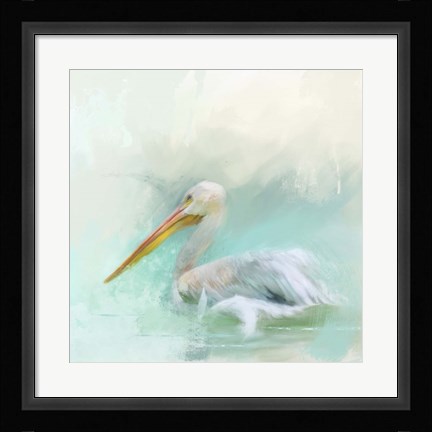Framed White Pelican Print