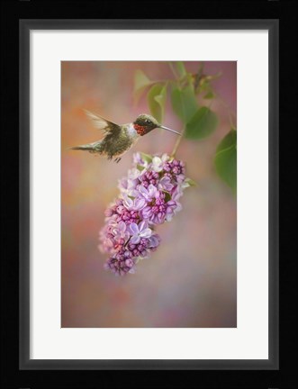 Framed Tiny Miracle Print