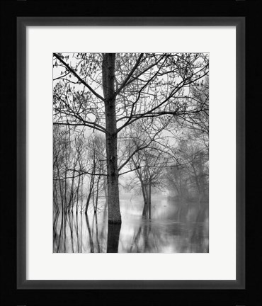 Framed All Mimsy Were the Borogoves Print