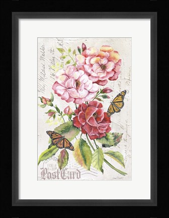 Framed Summer Rose Postcard A Print