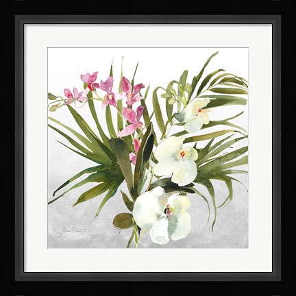 Framed Beautiful Orchids A Print