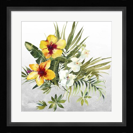 Framed Beautiful Orchids C Print