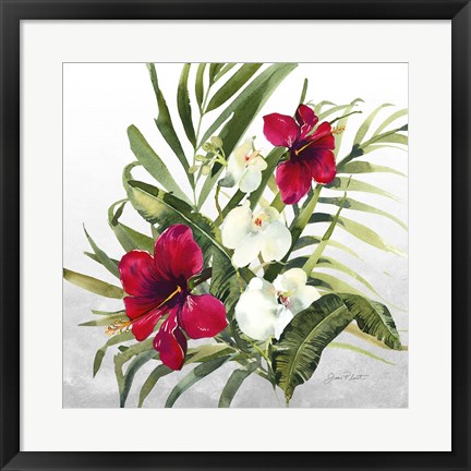 Framed Beautiful Orchids D Print