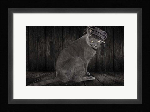 Framed Barn Cat Print