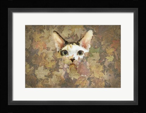Framed Kitty Print