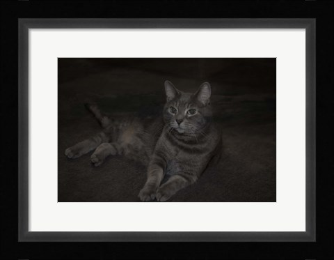 Framed Lounging Leila Print