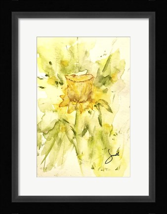 Framed Single Daffodil Print