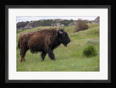 Framed Enter the Badlands 3 Print