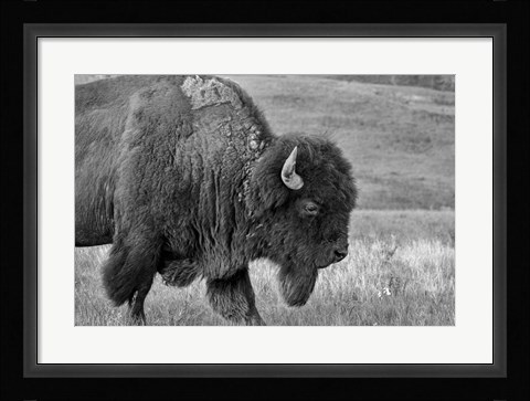 Framed Enter the Badlands B&amp;W 2 Print