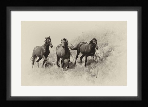 Framed Badlands Antique 3 Print