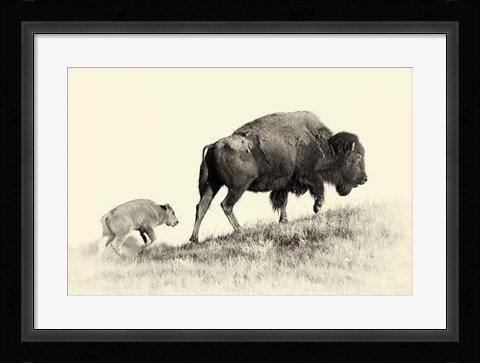 Framed Badlands Antique 6 Print