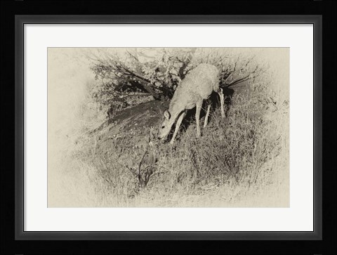 Framed Badlands Antique 7 Print